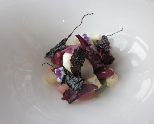 First course - Salad of preserved wild cherries, albino and chioggia beetroots, radish, creme fraiche, violets