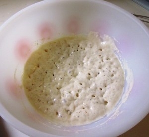 Starter - bubbling and ready to be used